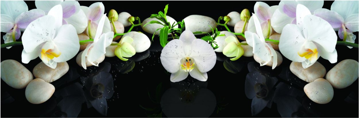 Цветы Минимализм