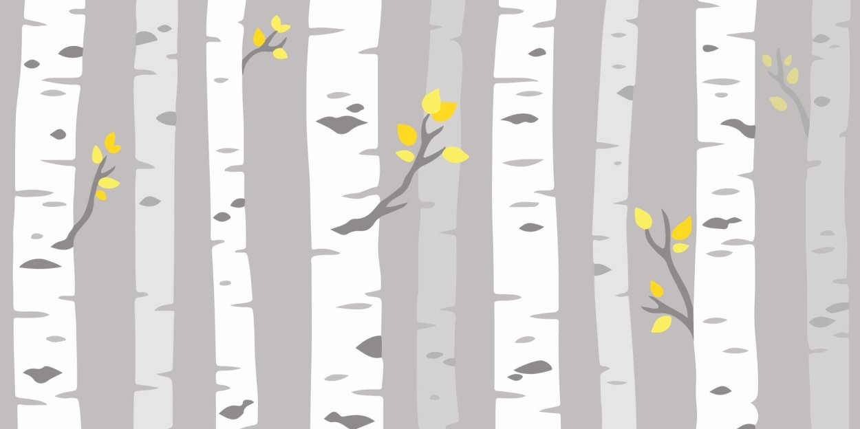 Текстура березы