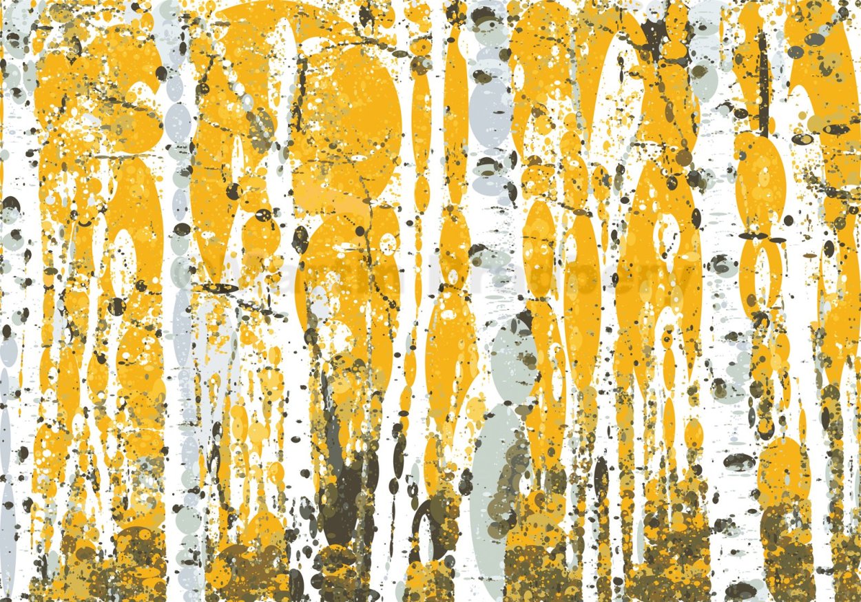 Birch Bark Birch Bark texture