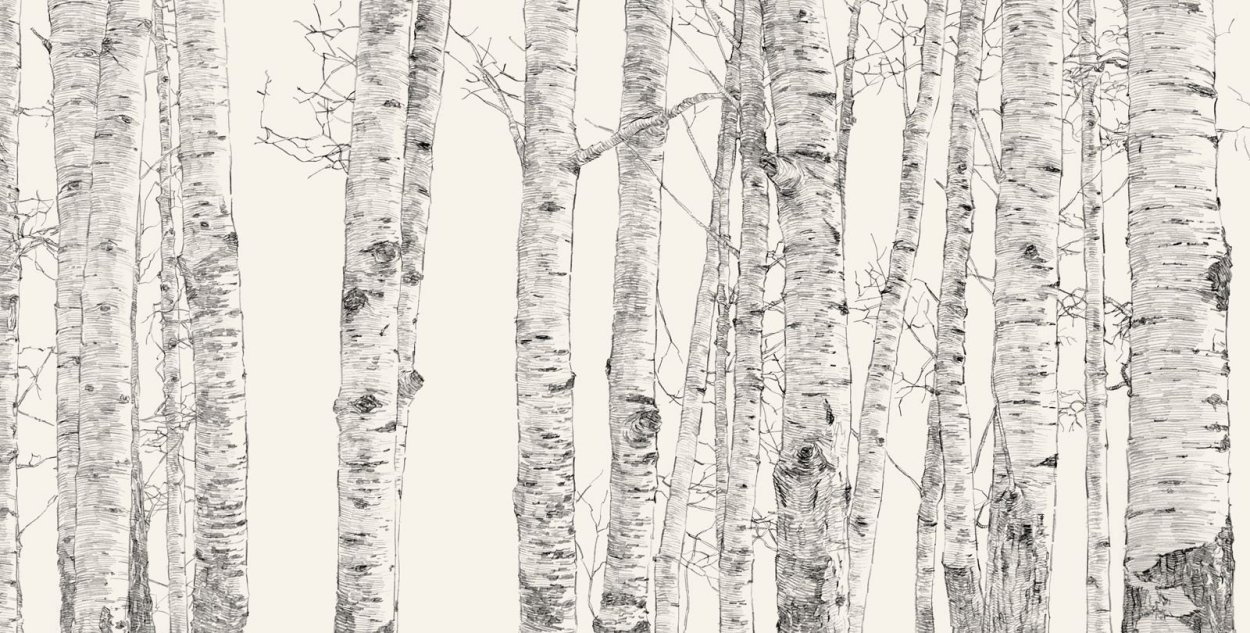 Береза ствол паттерн