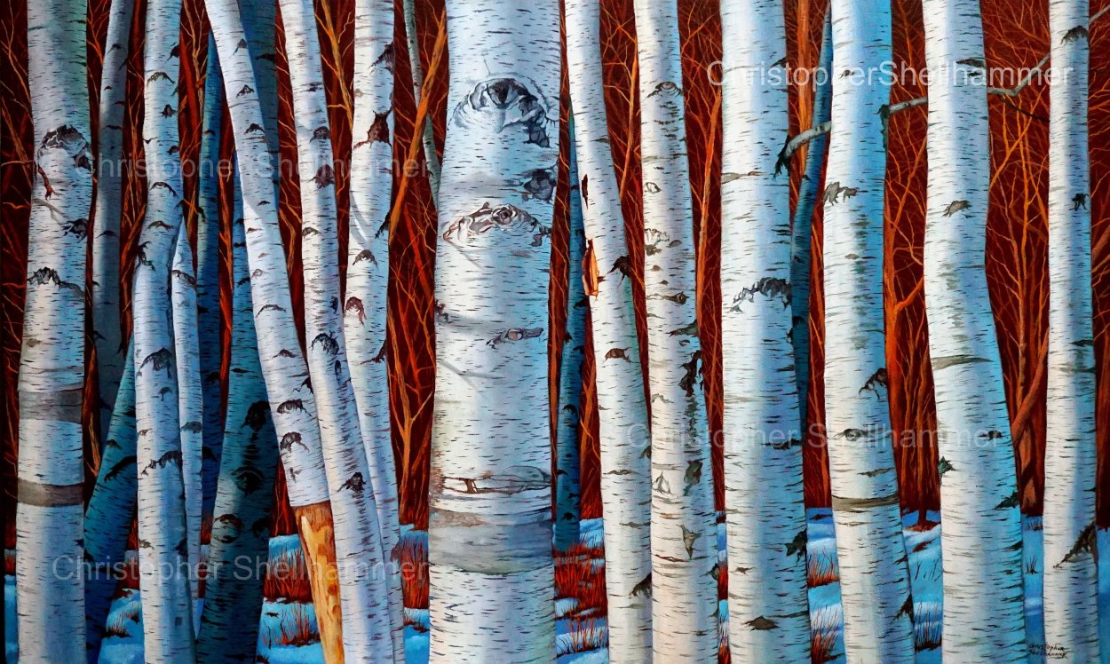 Komar фотообои Березовая роща