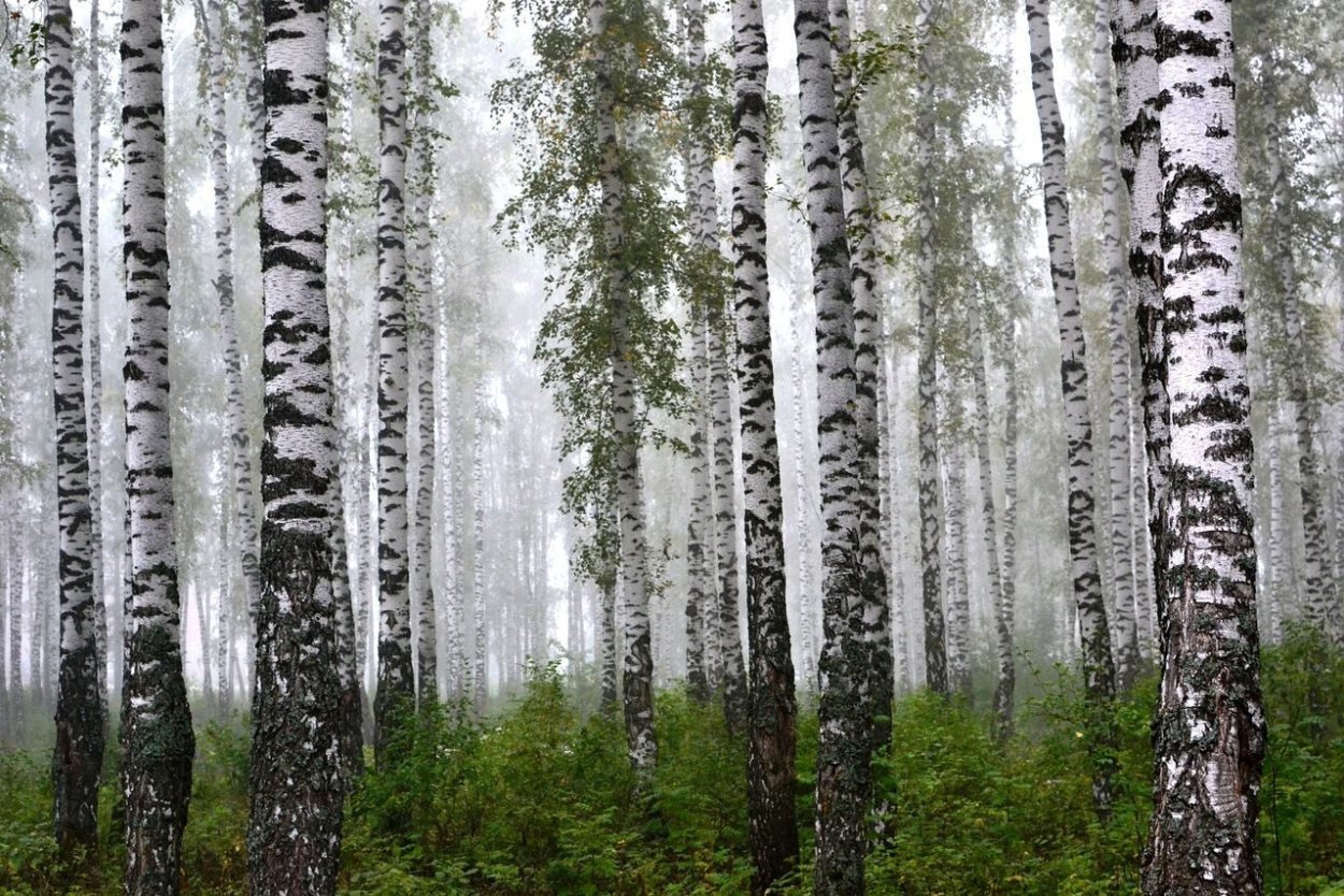 Октябрь иней Забайкалье