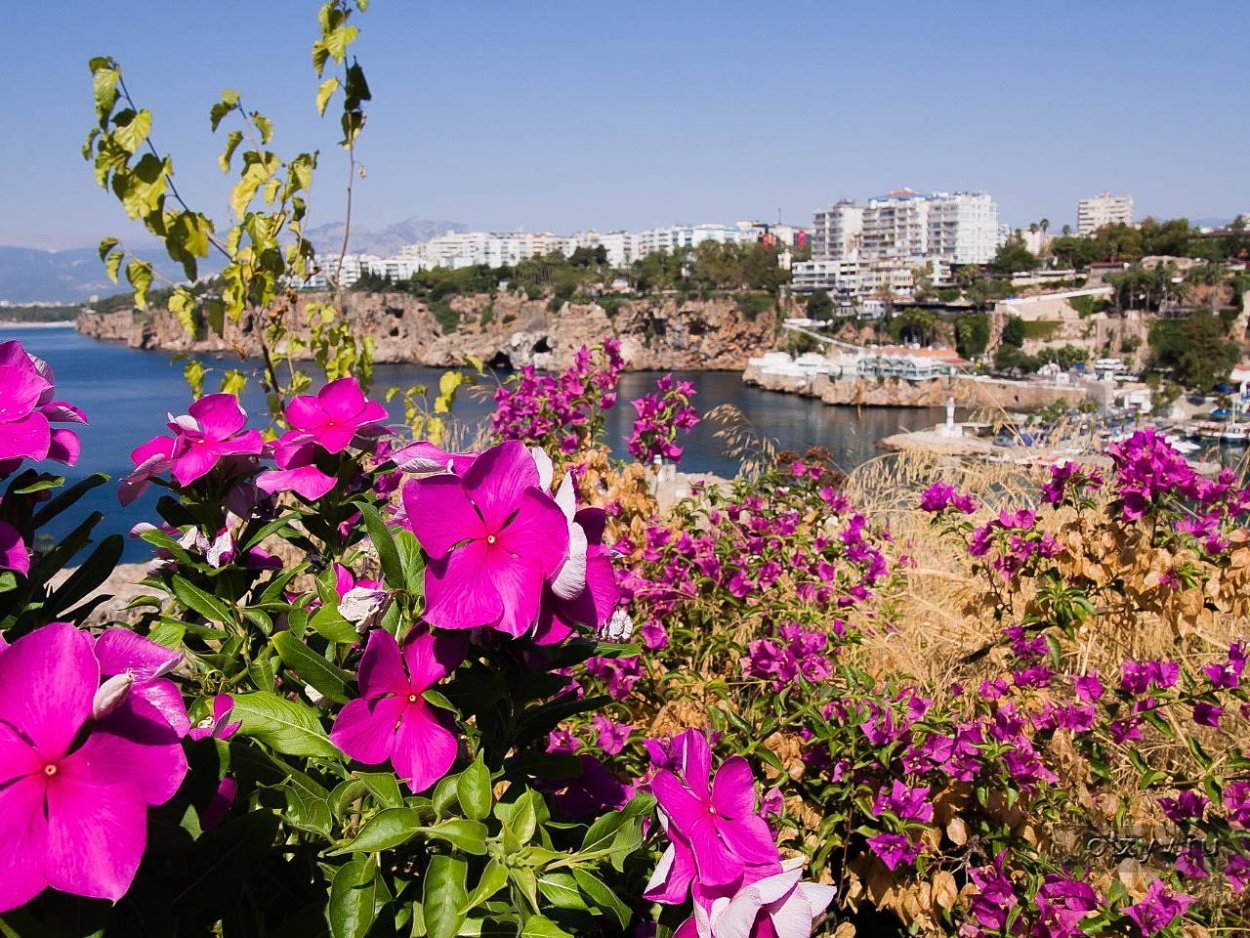 Весна в Турции Анталия