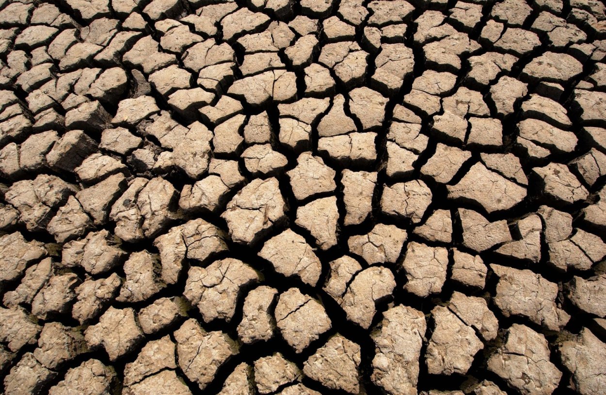 Ветровая эрозия почв