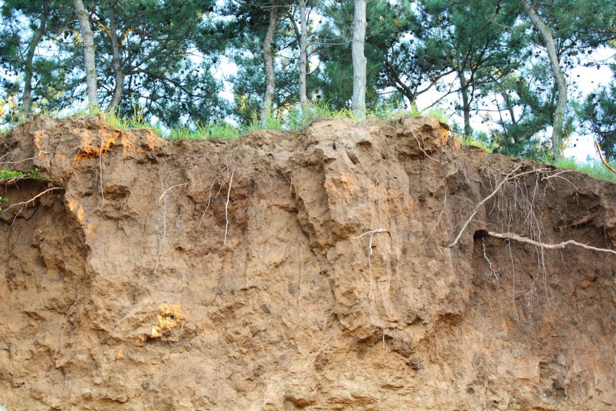 Выветривание почвы