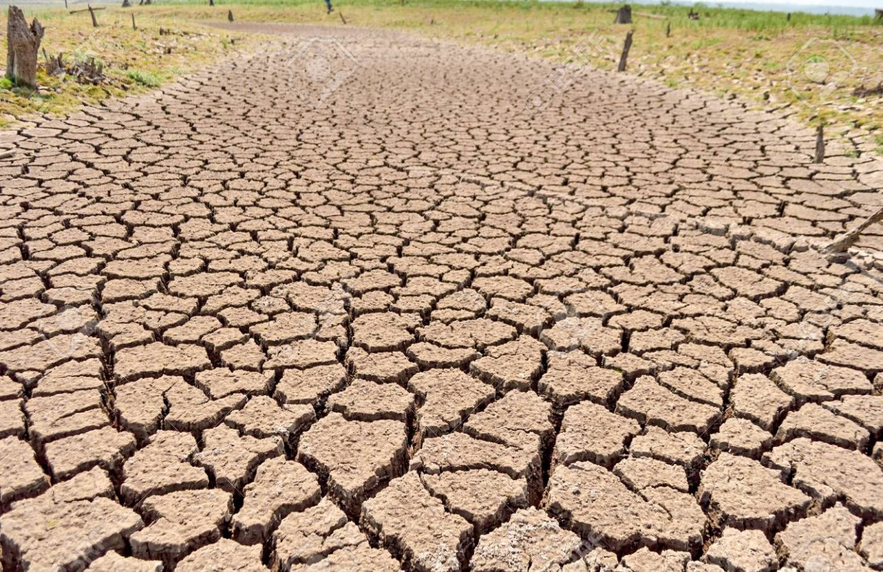 Осушенные земли