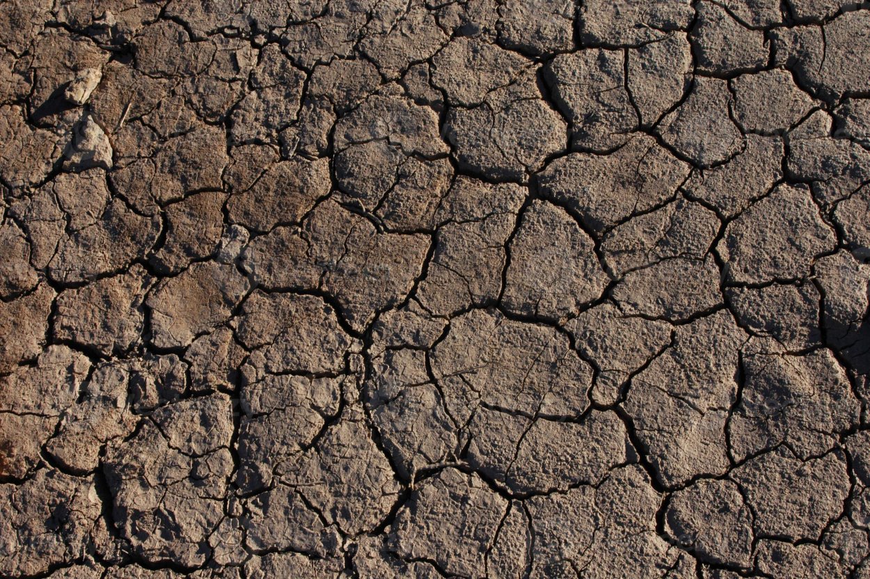 Текстура засушенная земля
