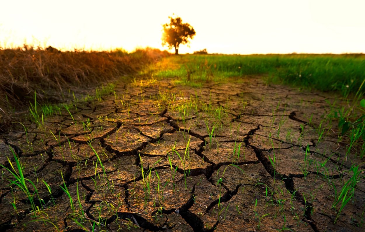 Сухая земля