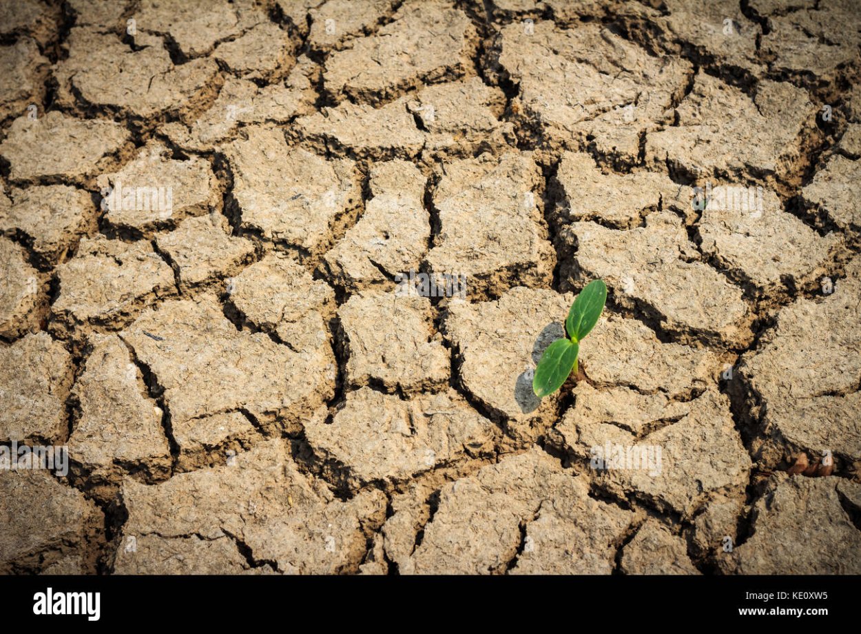 Высушенная земля трещины