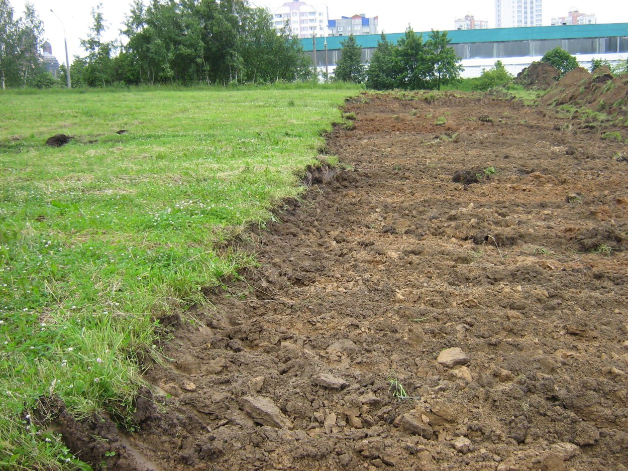 Растительный слой грунта