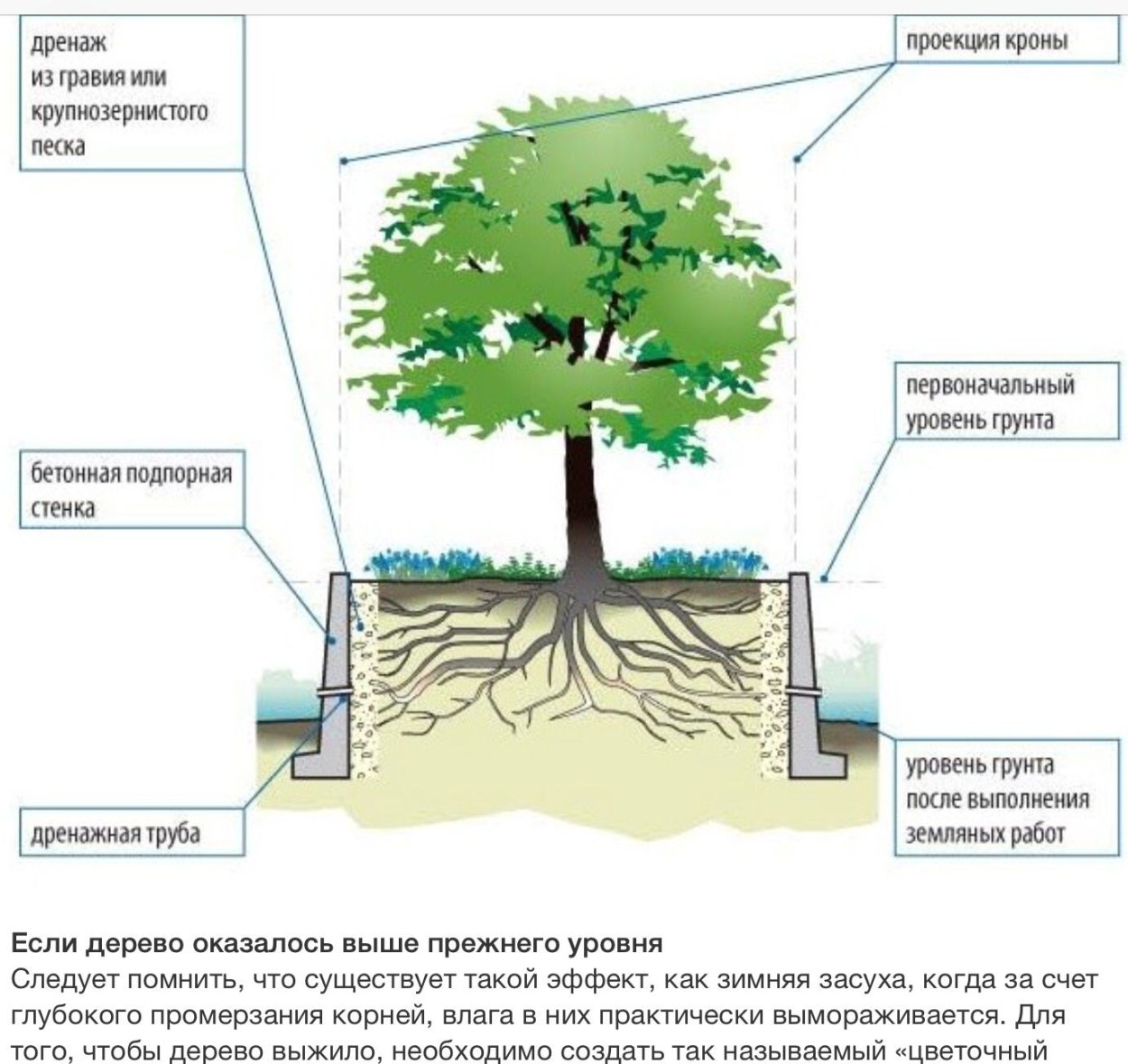Защита деревьев на стройплощадке
