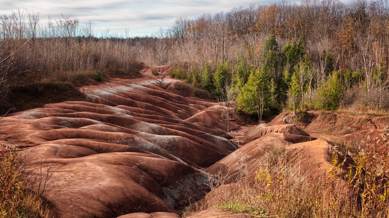 Почвы Канады