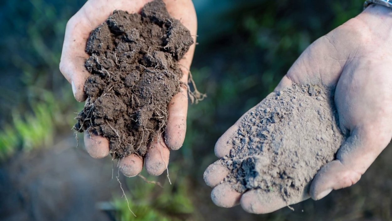 Мокрая почва