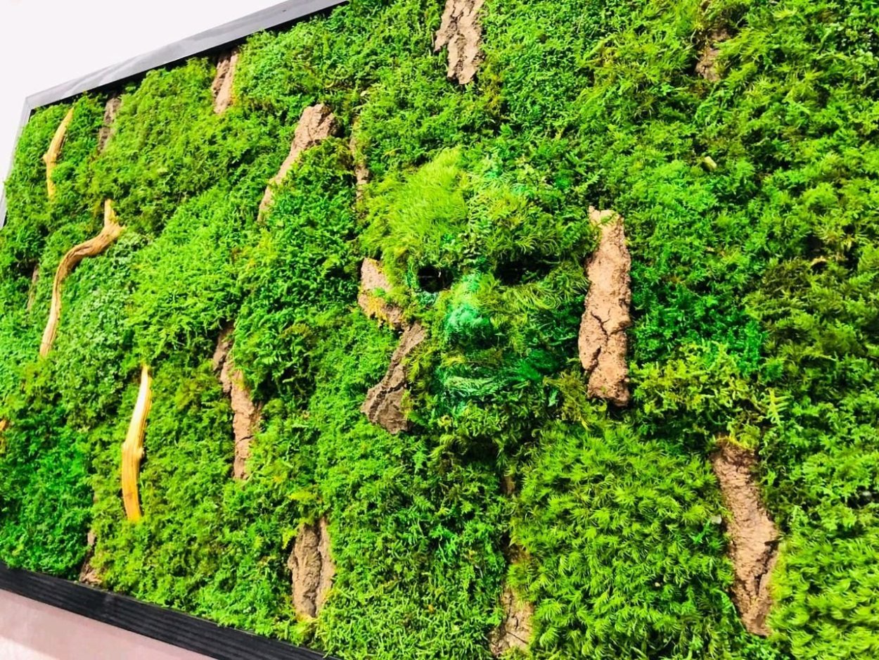 Фитокартина из стабилизированного мха