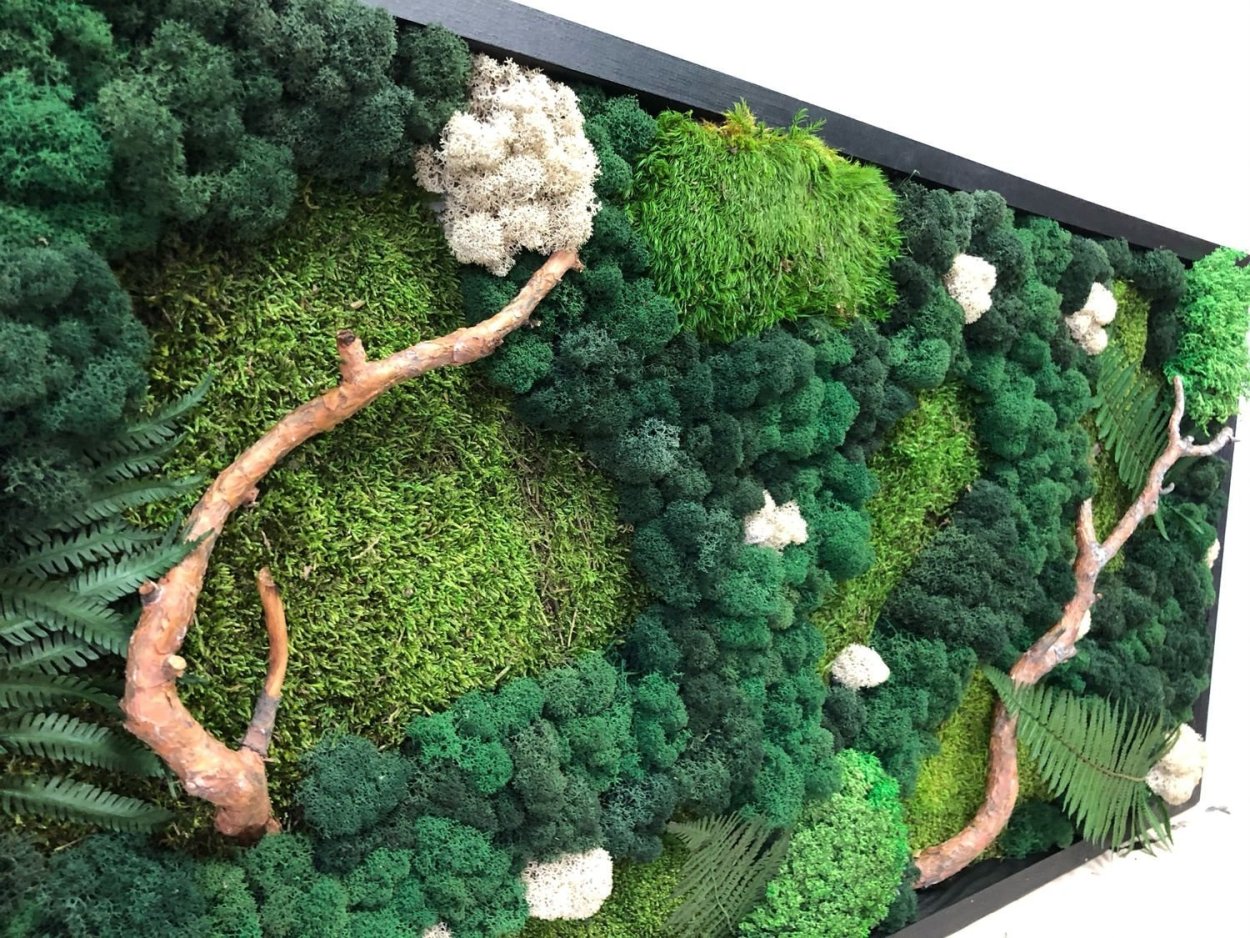 Фитокартины из стабилизированного мха