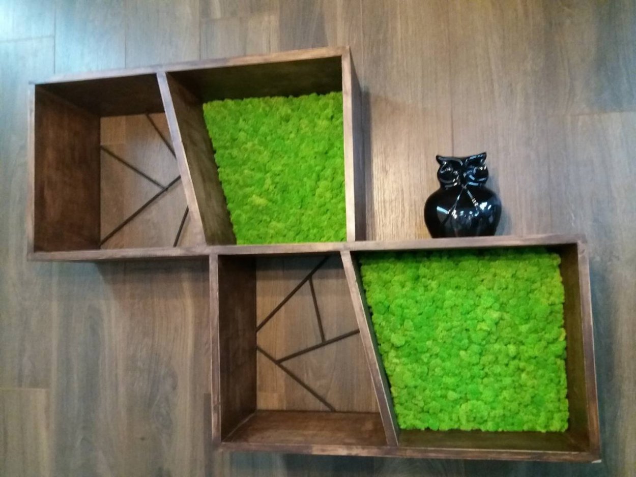 Полки с мхом