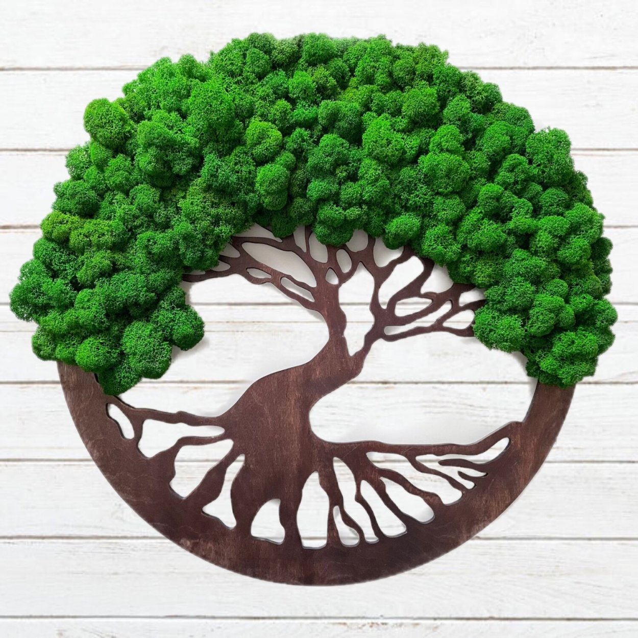 Древо жизни из стабилизированного мха