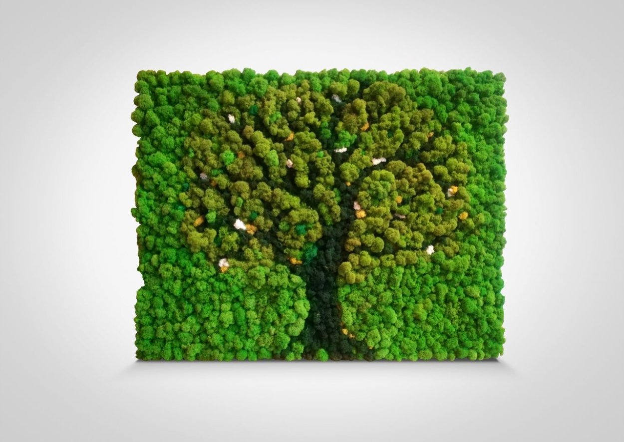 Стабилизационный мох картины