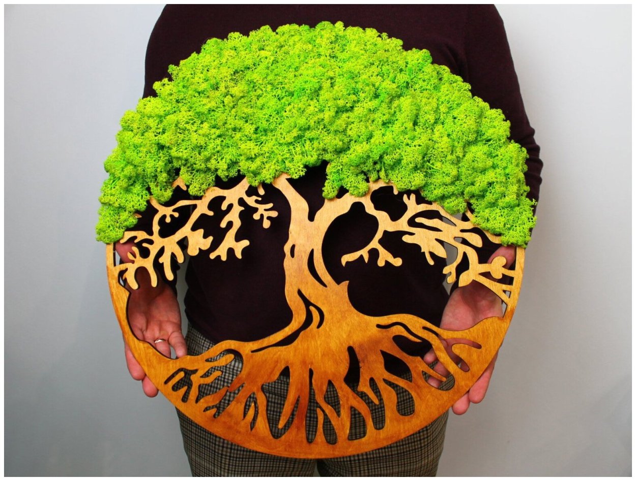 Древо жизни из стабилизированного мха