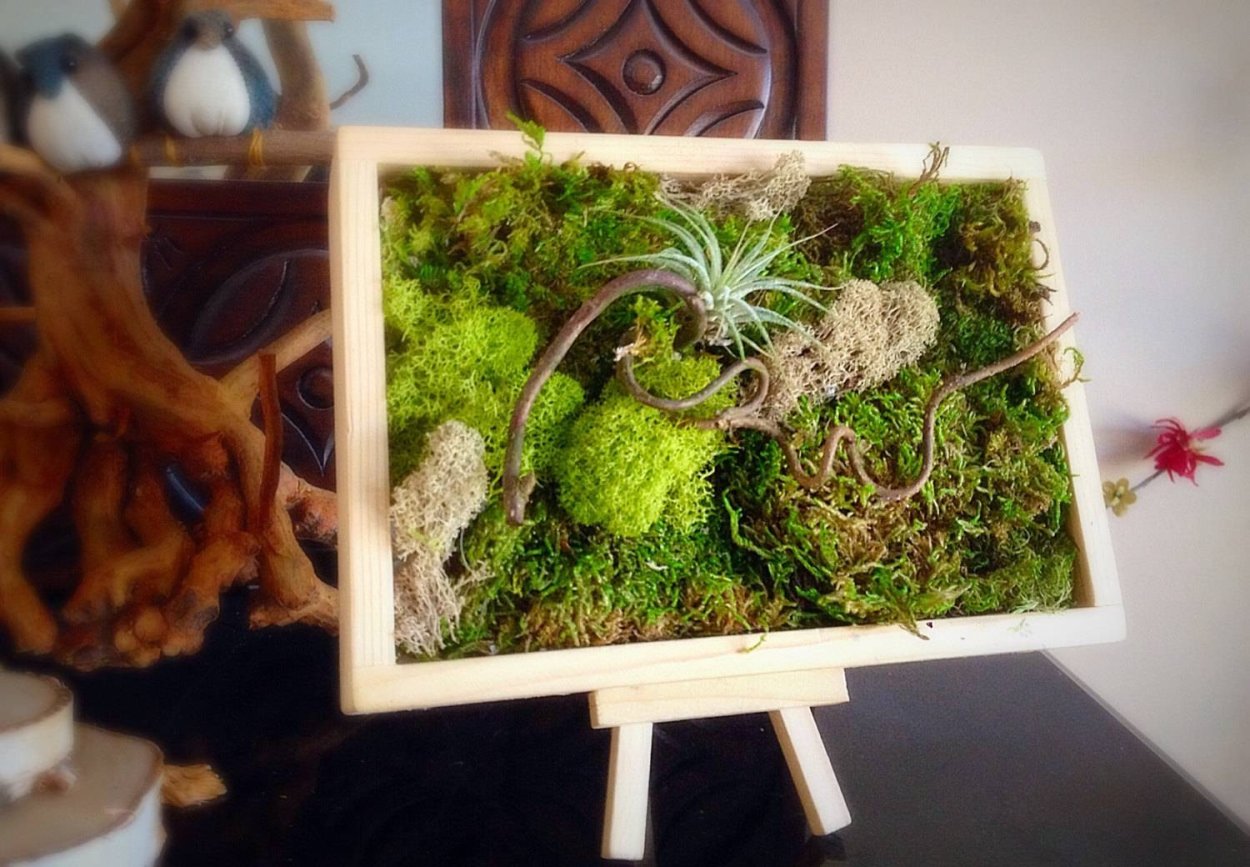 Декор из мха в интерьере в вазе