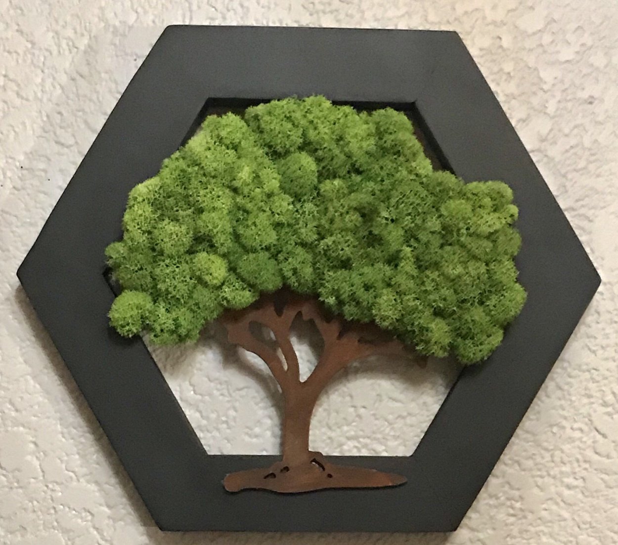 Композиции из стабилизированного мха