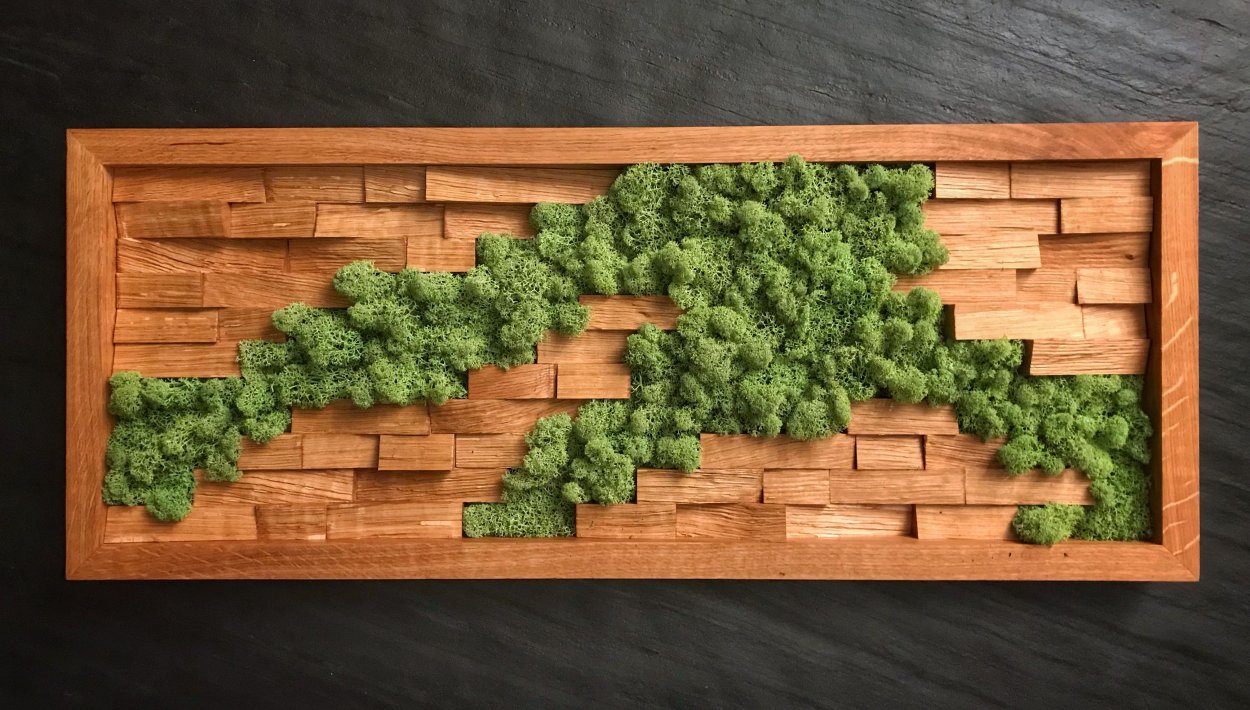 Панно из мха и дерева