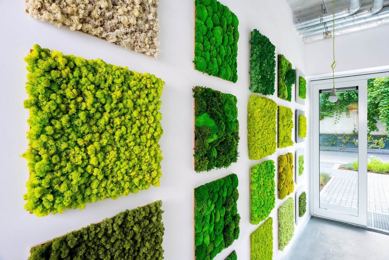 Вертикальное Озеленение стабилизированным мхом