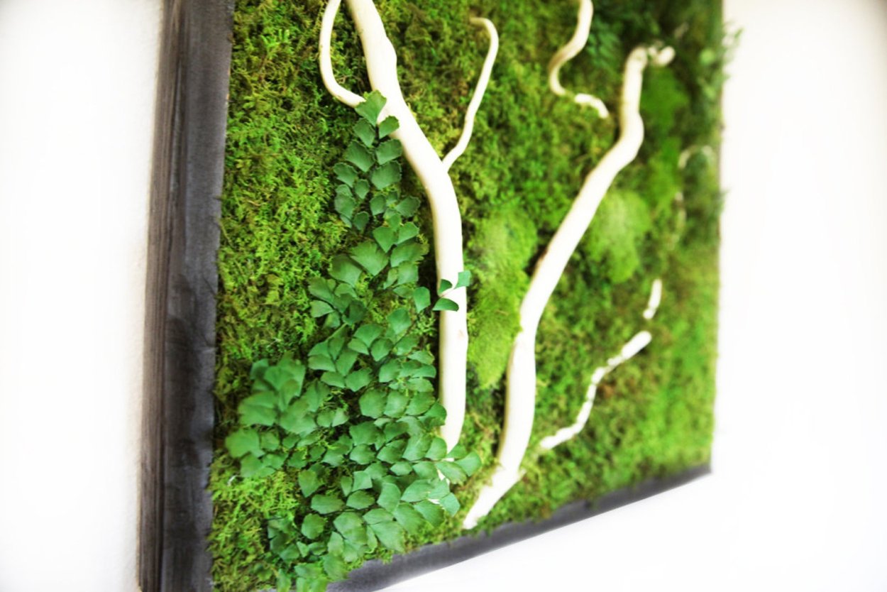 Панно из мха с ветками деревьев