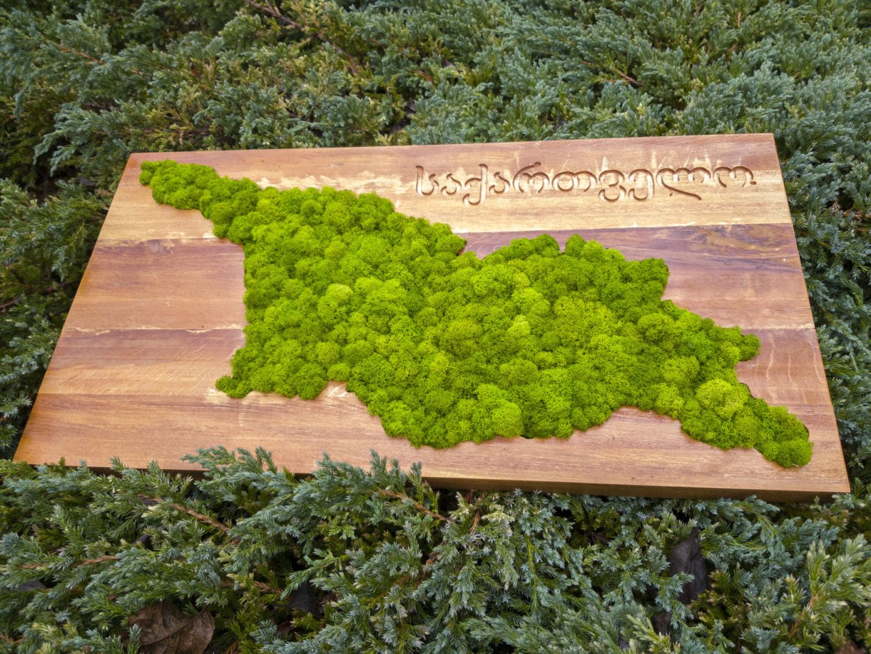 Панно из можжевельника и мха