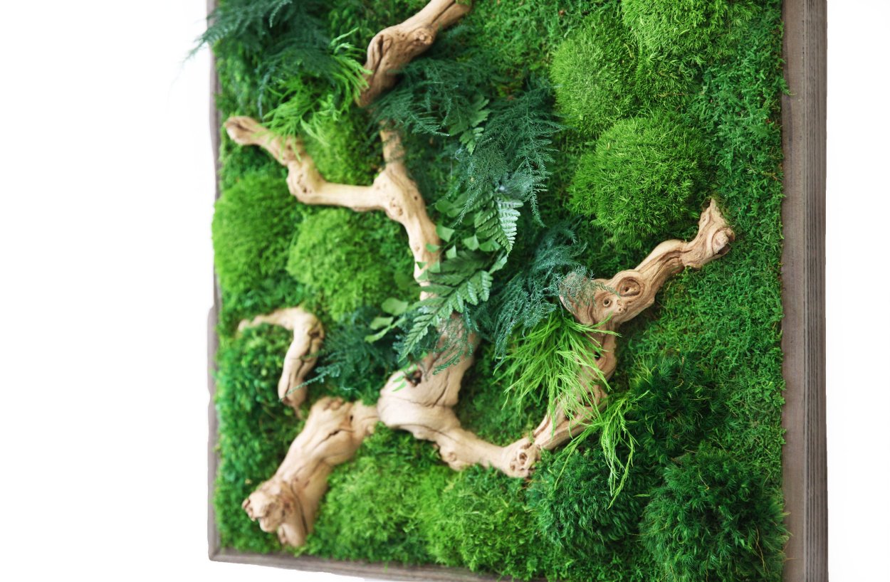 Панно из мха из фанеры