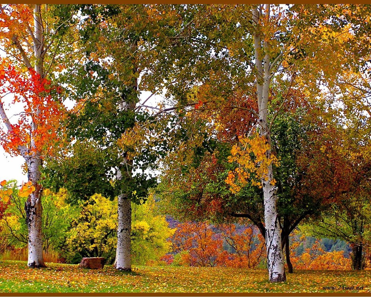 Паустовский листопад