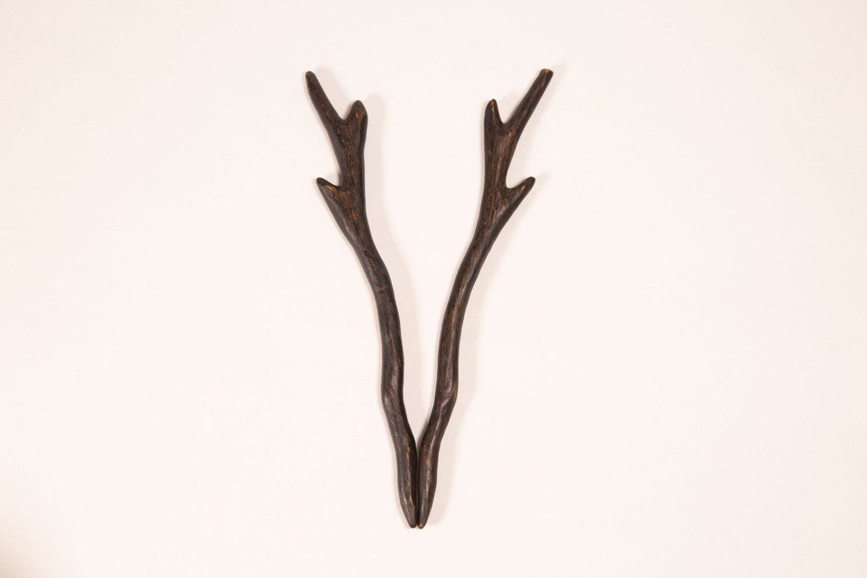 Платицериум бифуркатум