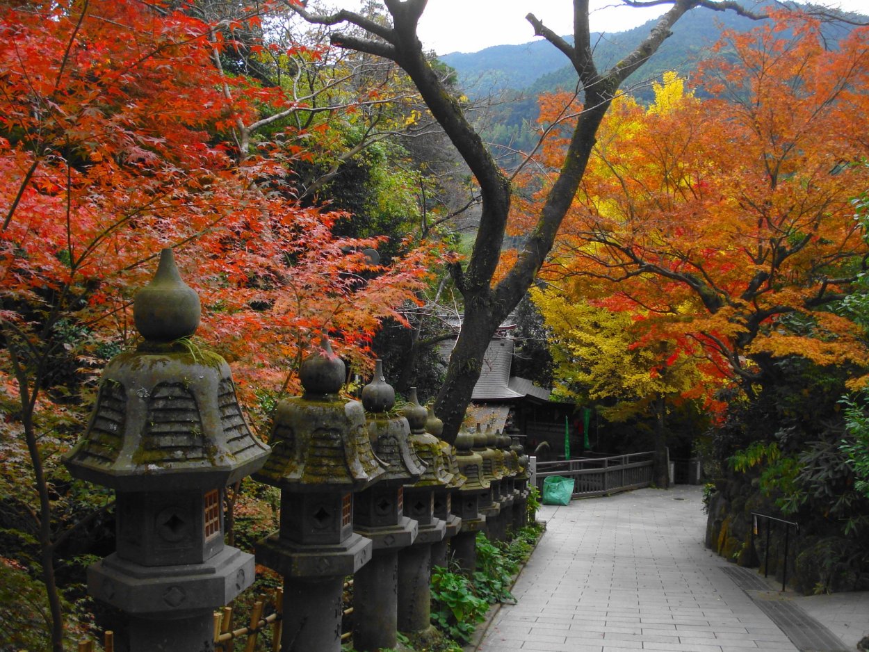 Красивые места Японии ИИ С Момидзи