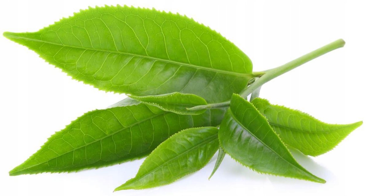 Чайный листик