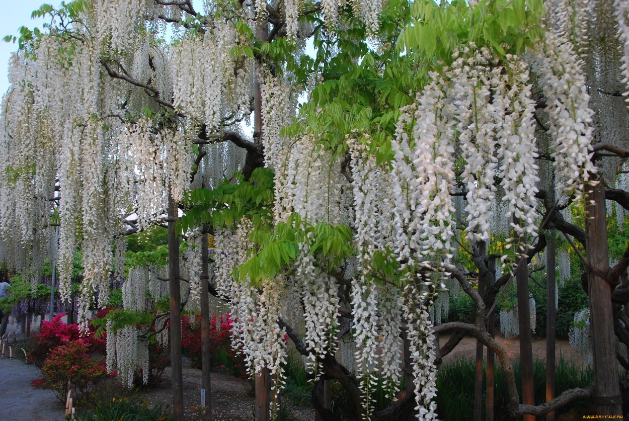 Пляж Баунти Тайланд