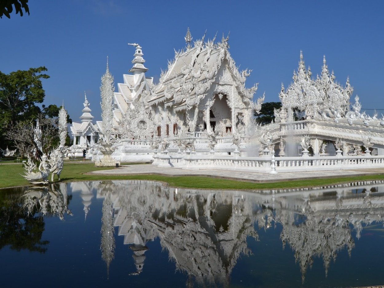 Плюмерия Франжипани