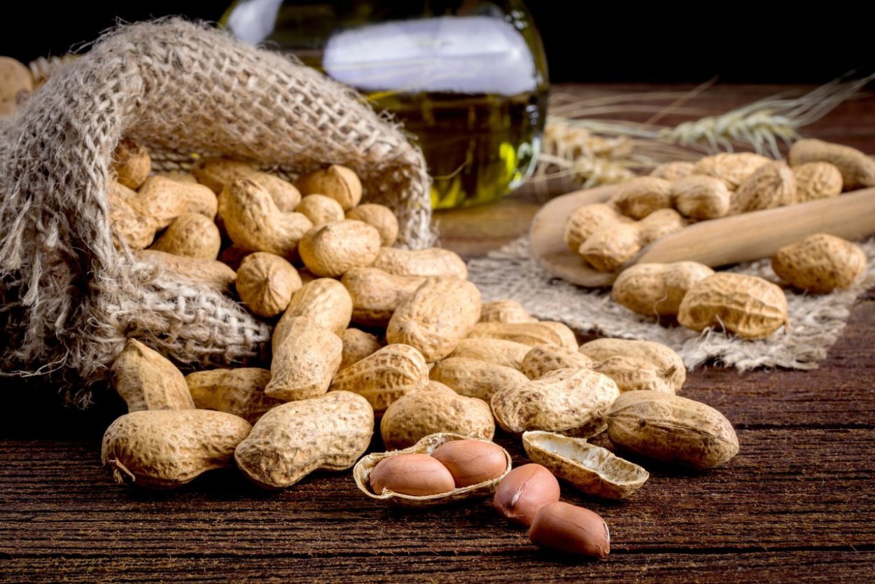 Арахис корнеплод