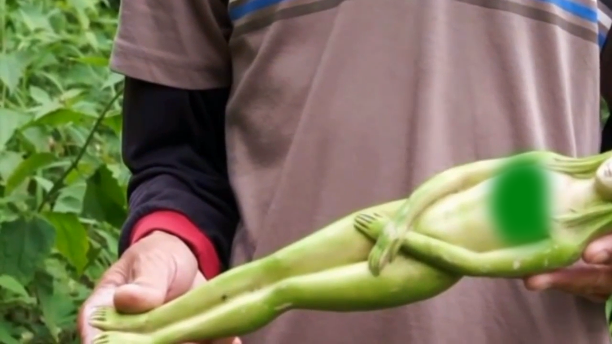 Плоды в виде женщины