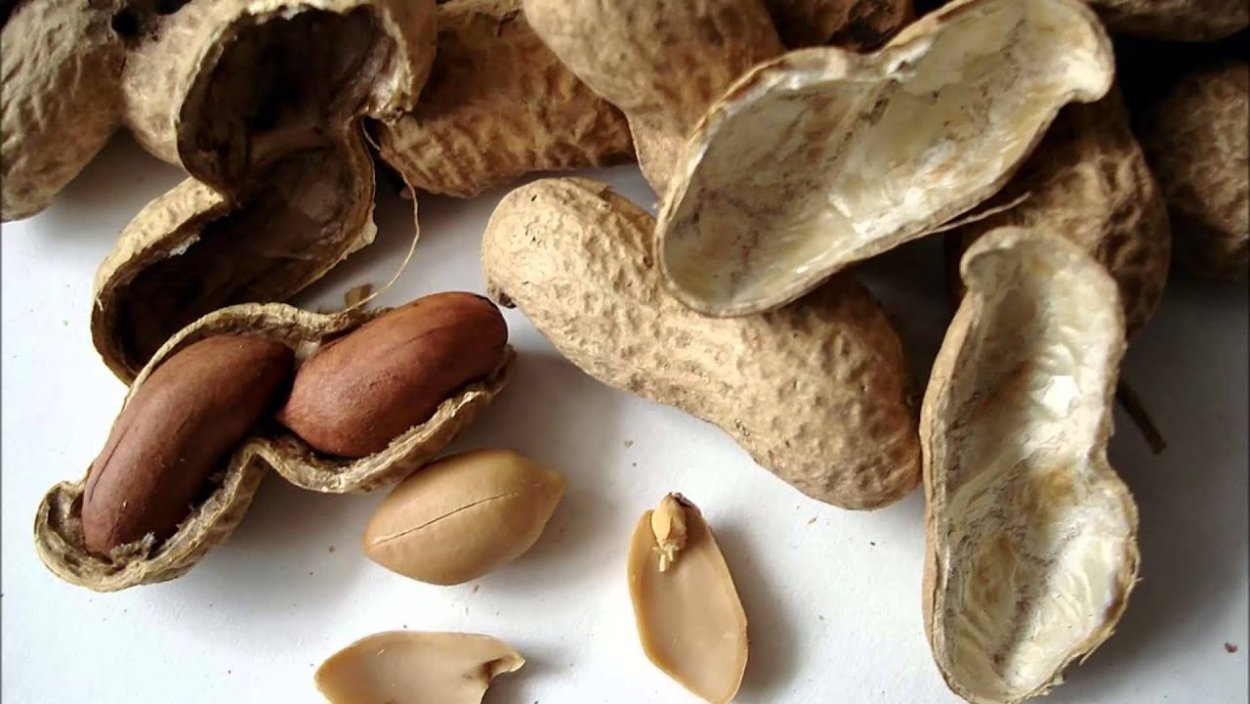 Арахис культурный Земляной орех