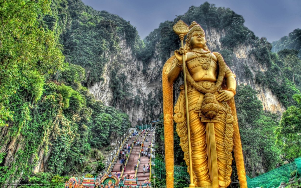 Хура динамитное дерево