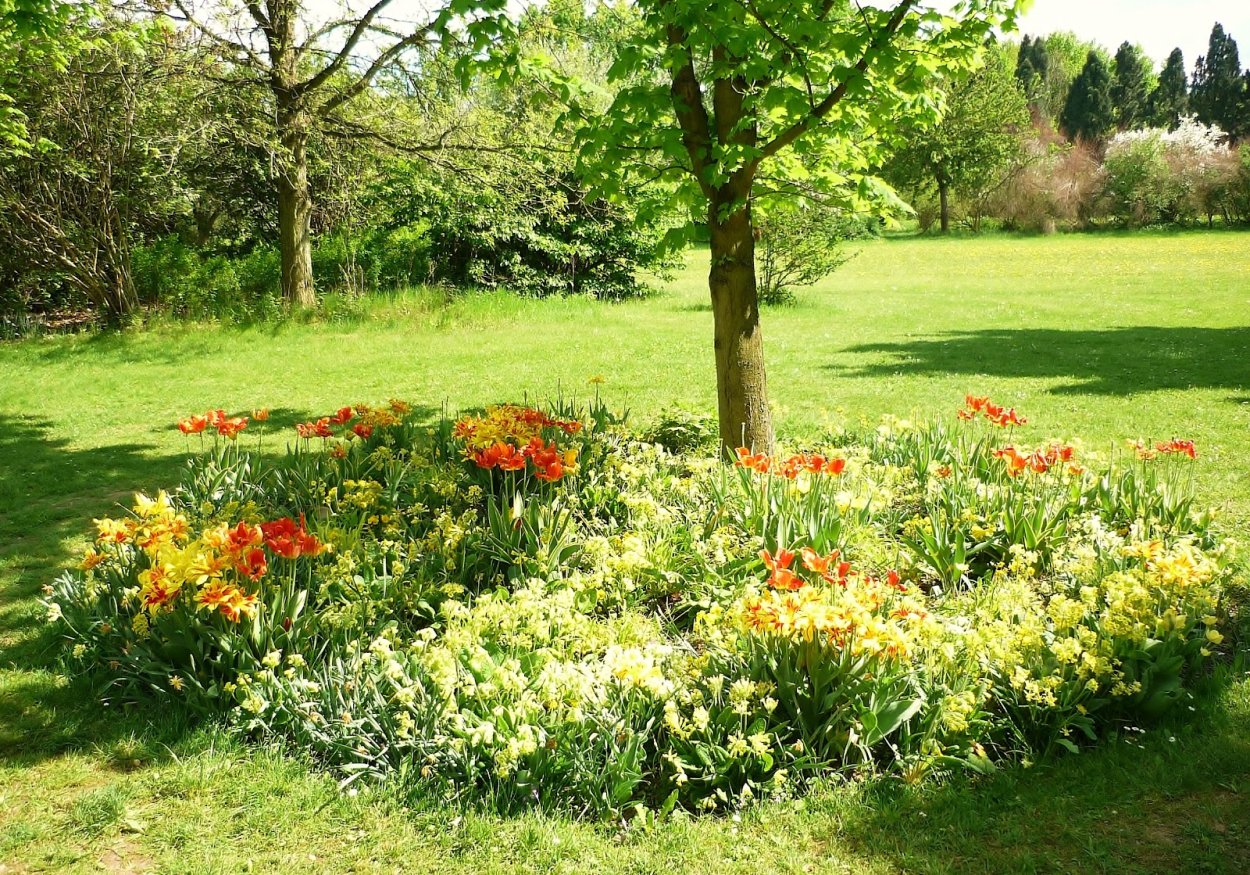 Цветник в приствольном круге плодовых деревьев
