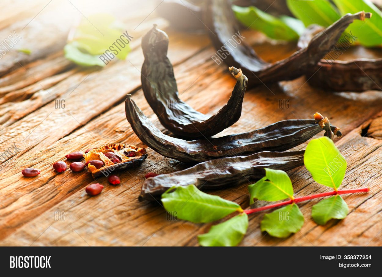 Кэроб рожковое дерево