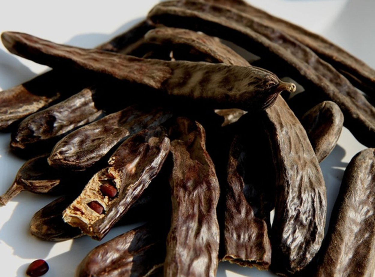 Робиния дерево стручки и семена