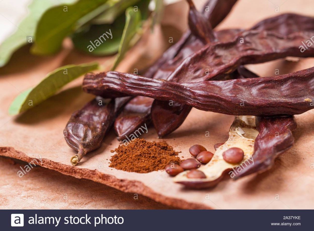 Робиния псевдоакация плоды