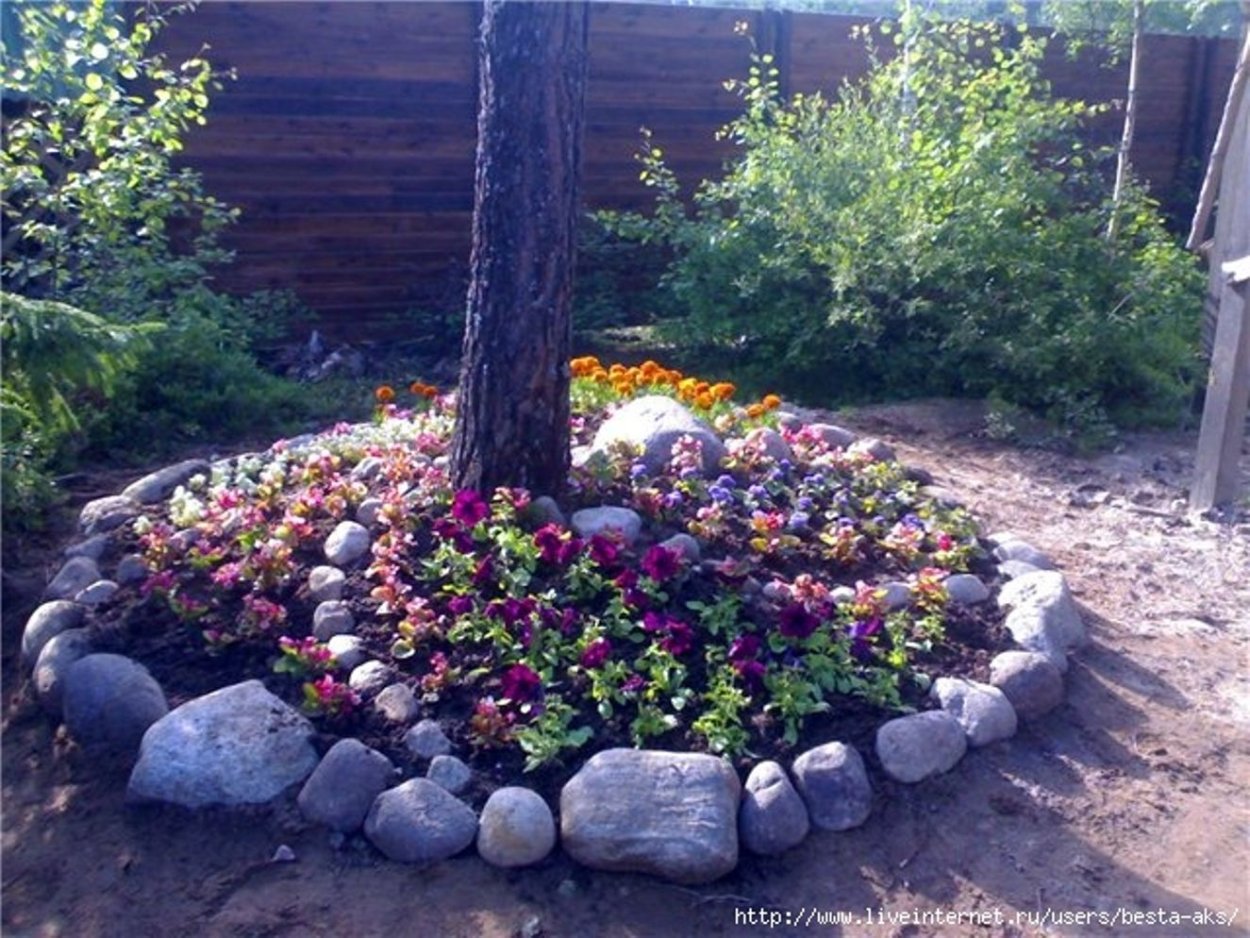 Клумба из камней вокруг дерева