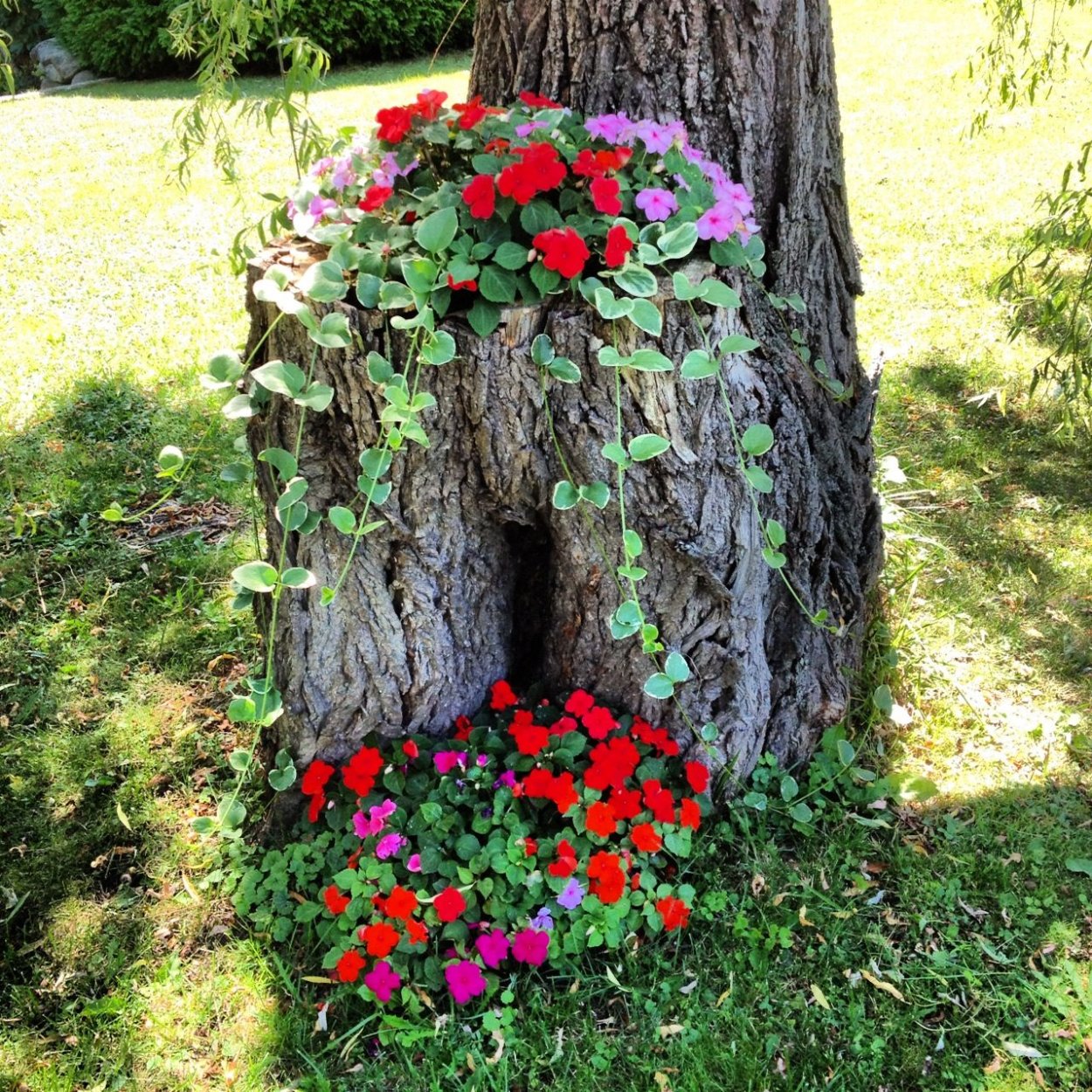 Рутарий — арка