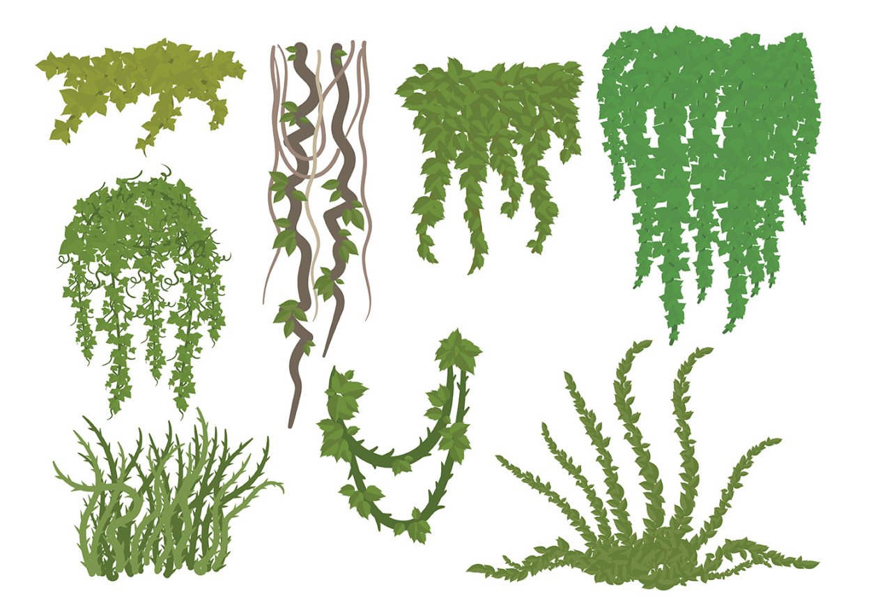 Свисающие водоросли