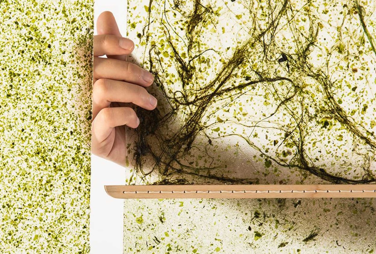 Водорослевая бумага