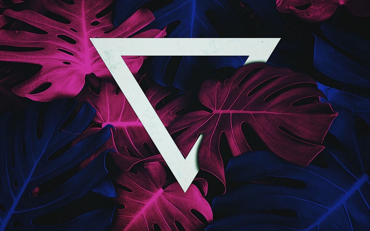 Клен Роял бургунди