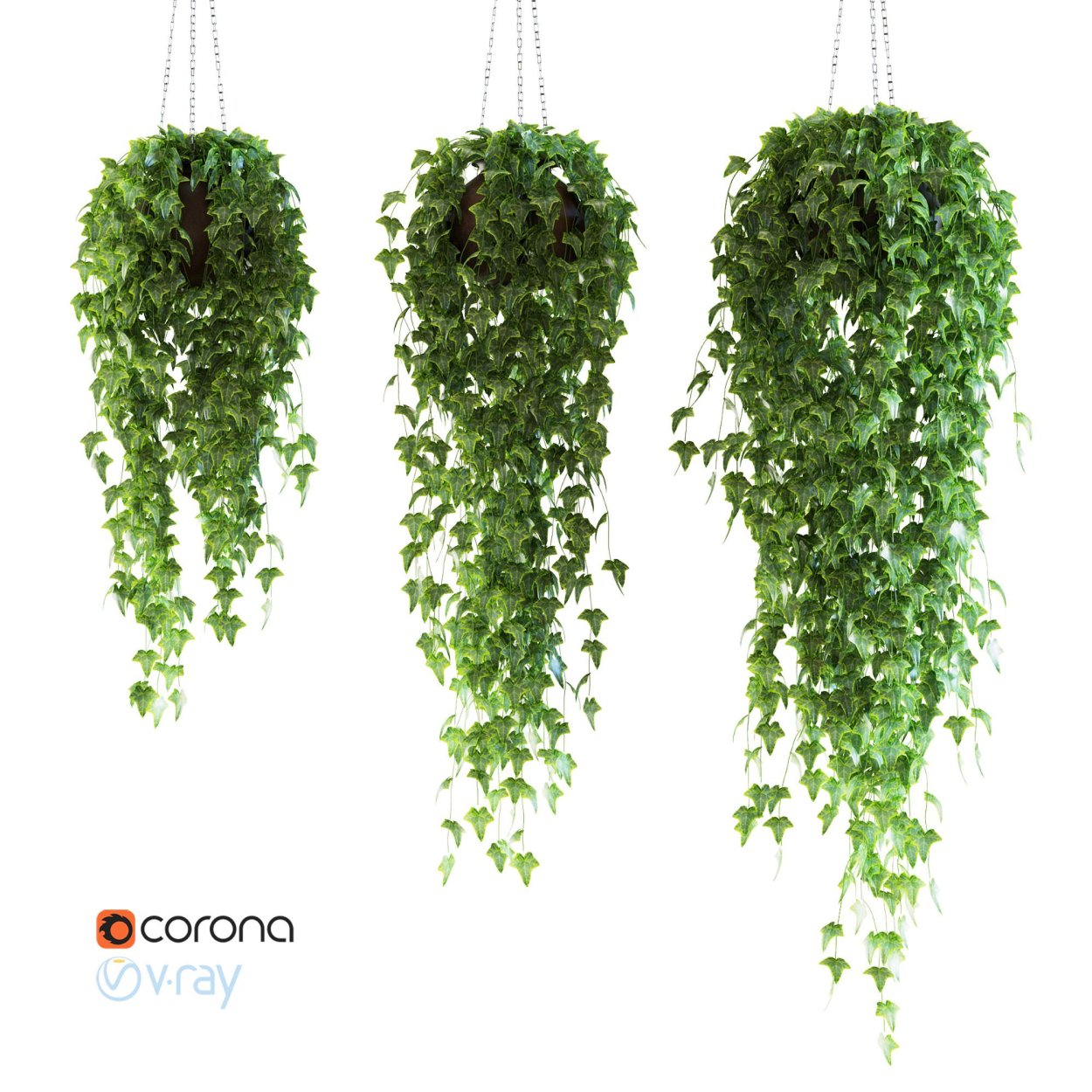 Свисающие цветы в горшках